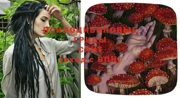 эйфоретик Баксан