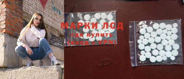 мдпв Новозыбков