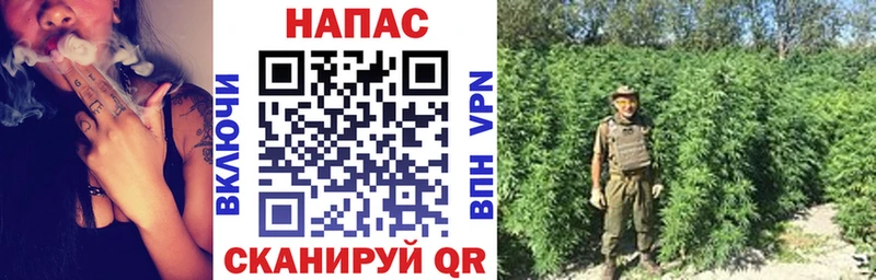 МАРИХУАНА сатива  Красный Холм 
